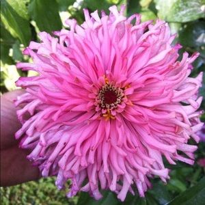 Meet your Posher, Marta